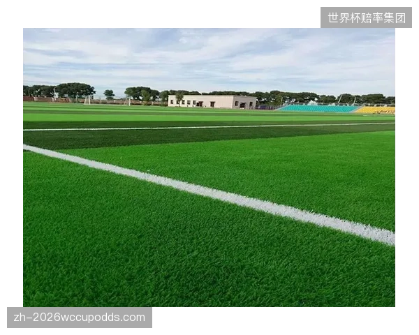 部分比赛场地为NFL球场，其草坪条件与欧洲主流球场不同，法国队需提前适应以降低受伤风险。